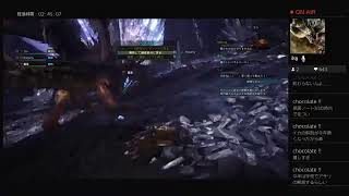 モンスターハンターワールド　王ネギぶっkろす