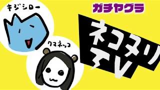 【スプラトゥーン2】「キジシローの悲鳴！ クマネッコの野生！」ペアリグマのガチヤグラです