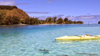 【スプラトゥーン2】ガチマ配信　Xへの道　アドバイス募集中！　初見さん歓迎ヾ(ﾟωﾟ)ﾉ゛