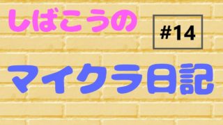 【ニンテンドースイッチ/統合版マインクラフト】しばこうのマイクラ日記#14