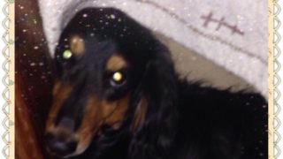 私のPUBG MOBILE実況をOmlet Arcadeで見てください！