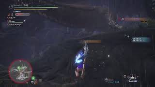 モンスターハンターワールド　アステラ！イベ素材や重ね着集めなどやってく！