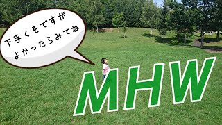 【モンスターハンター:ワールド】ひと狩り行ってきます