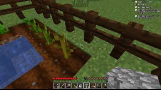 マインクラフトでのんびり