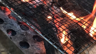 雑談まじりのモンスターハンターワールド