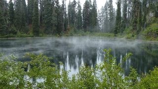 モンスターハンターワールド♪アステラ祭♪