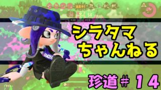 シラタマ珍道中１４～高みを目指して【スプラトゥーン2/クアッド/デュアル】