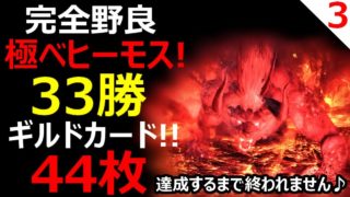 【MHW】完全野良！極ベヒーモス33勝＆ギルカ44枚達成するまで終われません♪#3【モンハンワールド】