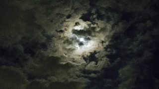 [MHW]クソザコ狩人のモンスターハンター：ワールド放送