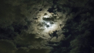 [MHW]クソザコ狩人のモンスターハンター：ワールド放送