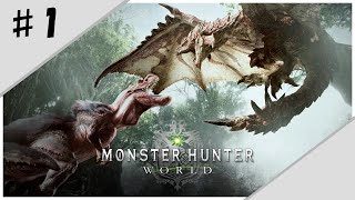 1人で【モンスターハンター：ワールド】