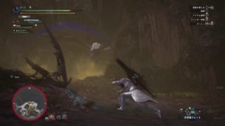 実況初心者がいくモンスターハンターワールド！　いろいろ狩るぞ～～！　3