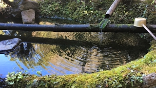 マインクラフト配信　 眠れない夜の雑談ラジオ