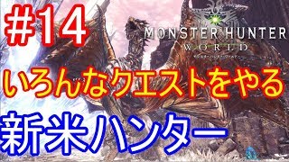 ～【モンハンワールド PS4】#14 いろんなクエストをやる新米ハンター #狩りの生活 （モンスターハンター:ワールド）～