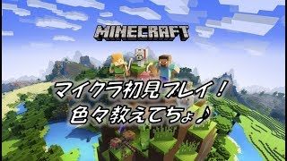 【マインクラフト】参加型だよ♪　15人まで組めます。