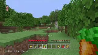 楽しくマインクラフト