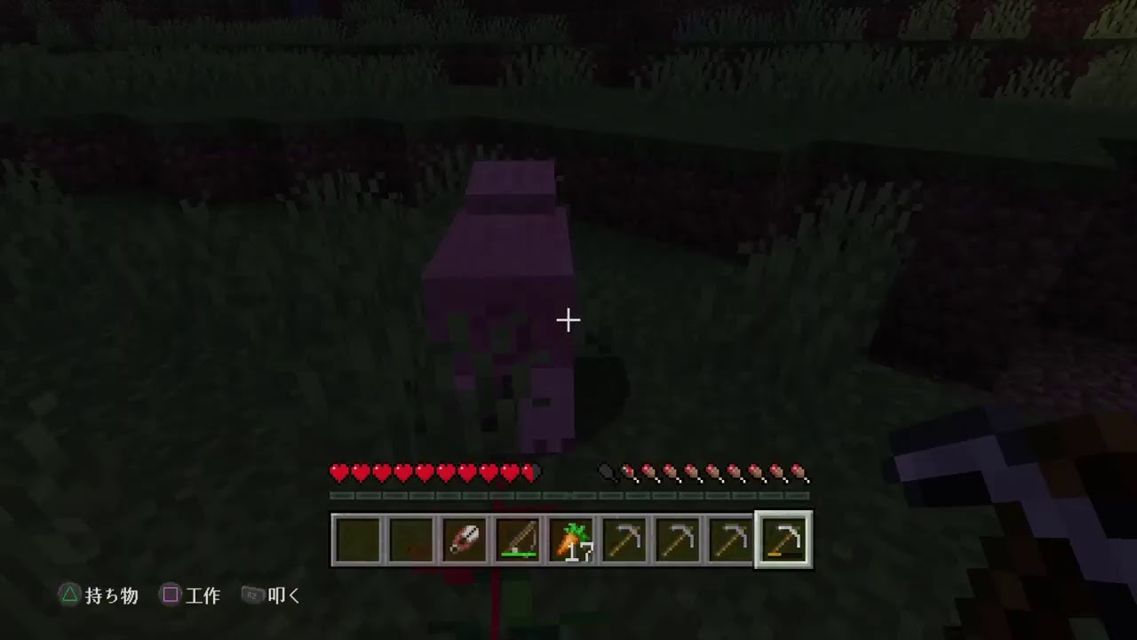 ［マインクラフト］らいおんとむったの大冒険!　#4 鉱石を探せ!