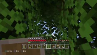 少しだけ　マインクラフト［参加型]初心者kouののんびり配信　16日目　初見大歓迎！概要欄見てね！