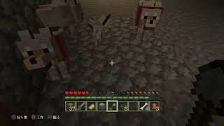 【＃30 実況play】マインクラフト 作って遊ぼう