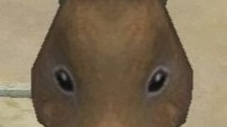 モンスターハンターワールド#302 まったり遊ぼう！