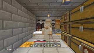 PS4版　マインクラフト　みんなで町を作ろう！いろいろするかな　参加大歓迎　　Live　概要欄確認