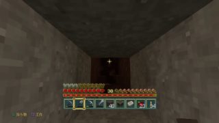 【PS4】まったりあさほりほりマインクラフト #261