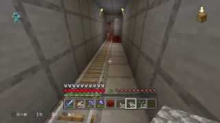 マインクラフト♯39