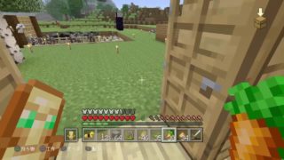 視聴者参加型 マインクラフトライブ！！　１から始める参加型マイクラ　初見さん大歓迎です