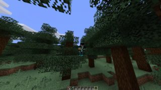 マインクラフトPC版やるよ！！参加もできます