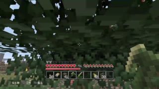 マインクラフト