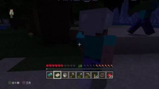 マインクラフト