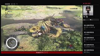 ハンマーガールとバウンティ消化&クエストお手伝い【モンスターハンター：ワールド】参加型