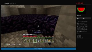 マインクラフト　25日目
