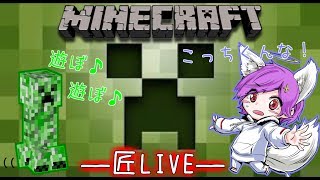 【マインクラフト】匠とたわむれます()【匠MOD】