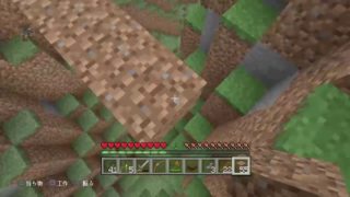 ［マインクラフト］アンダードラゴン倒す