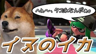残るはヤグラ、ホコ、そしてエリア。【スプラトゥーン2】