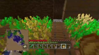 [マインクラフト/Live/PS４]家畜はじめました♪取引もしないと！！