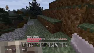 【マインクラフト】まったりマイクラ【PS4】