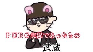 ＰＵＢＧ実況のつもりだったもの