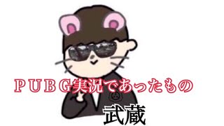 ＰＵＢＧ実況のつもりだったもの