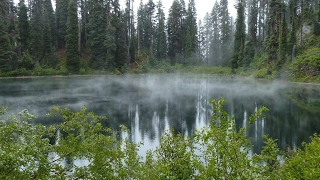 モンスターハンターワールドを楽しもう♪