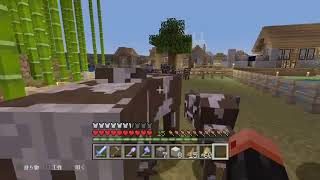 ともちー所属　マインクラフト