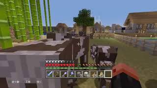 ともちー所属　マインクラフト