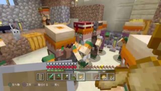 [マインクラフト/Live/PS４]村人移動計画をたてねば・・