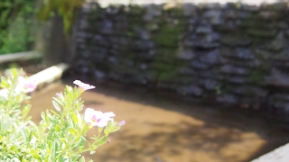 [モンスターハンターワールド]ゆっくり素材集めを　下手で良ければ一緒に、、、