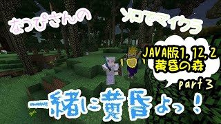 【酔女配信】なつぴさんのソロでマイクラ！一緒に黄昏よ！part4～マインクラフト・黄昏の森～　【初見さん歓迎】