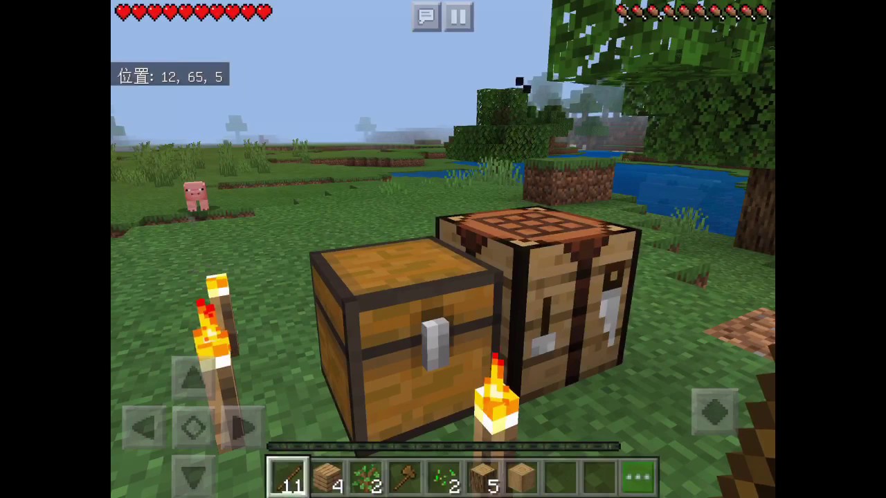 2人でマインクラフト始めました【たく×ゆう】【マイクラ】