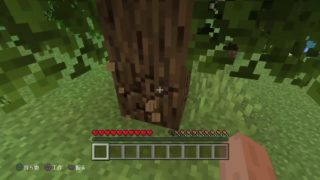 のんびり屋mirukuのマインクラフト　リスナー参加型　　※概要欄、定期しっかりご確認下さいませ