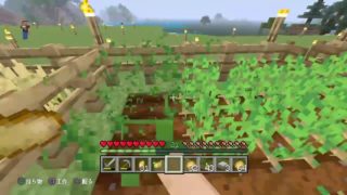 ろりすのワールド遊ぶ　マインクラフト