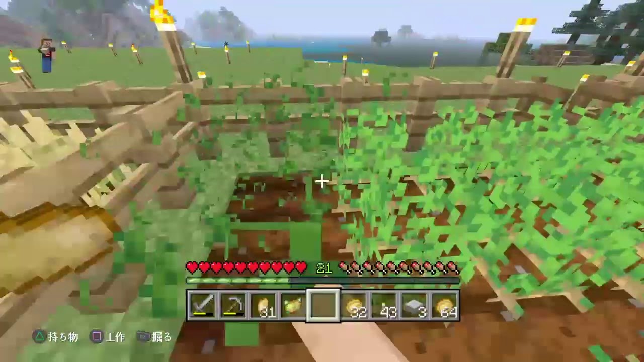 ろりすのワールド遊ぶ　マインクラフト